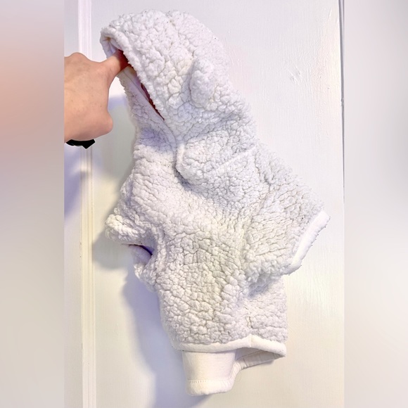 Beige Small Teddy Bear Dog Hoodie - Picture 4 of 4